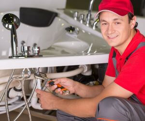 About Plumbers Pros Albion, ID